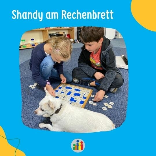 Shandy am Rechenbrett