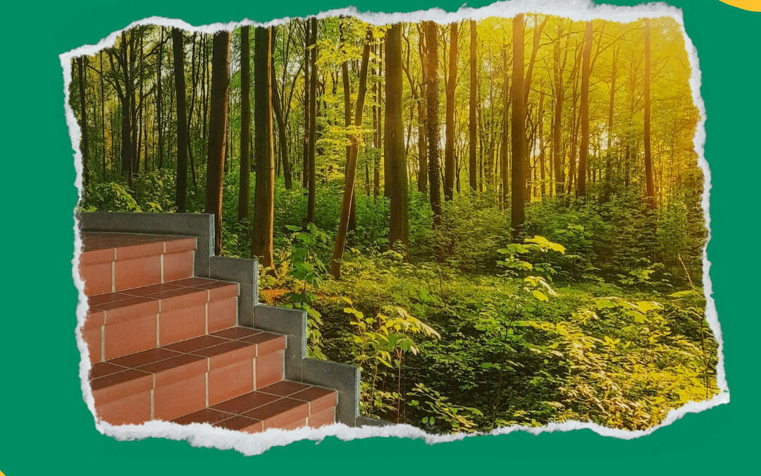 Renovierung Eingangsbereich